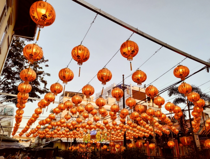 signe chinois tigre décoraton fete année nouvelle lanternes