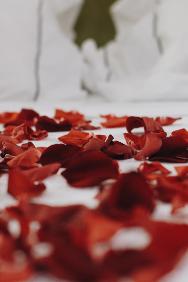 soirée en amoureux lit couvert de feuilles de rose