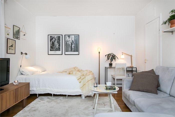 style scandinave dans petit studio avec lit adossé à un mur canapé gris tapis gris clair parquet bois meuble tv bois murs blancs