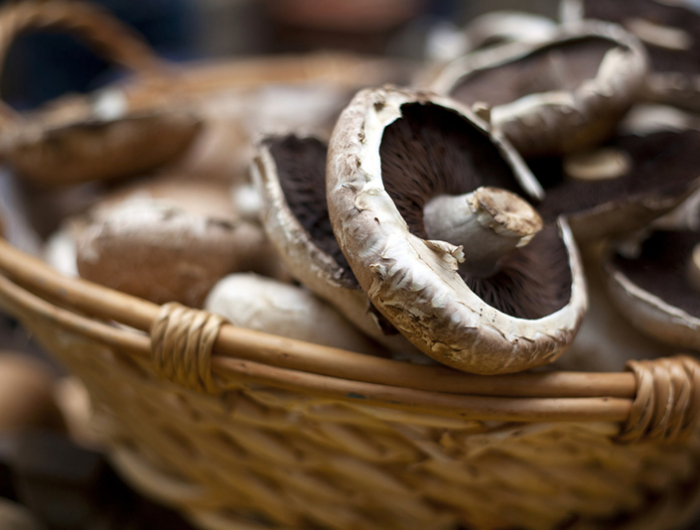 champignon brun cueillir des champignons dans un panier