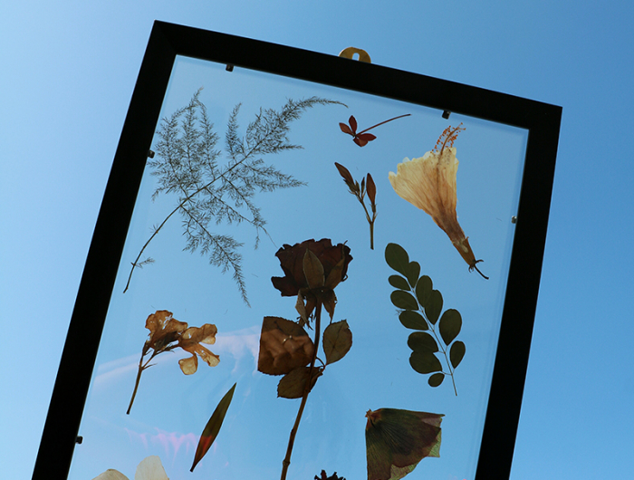 fleurs sechees deco fleurs sechees dans un cadre en verre