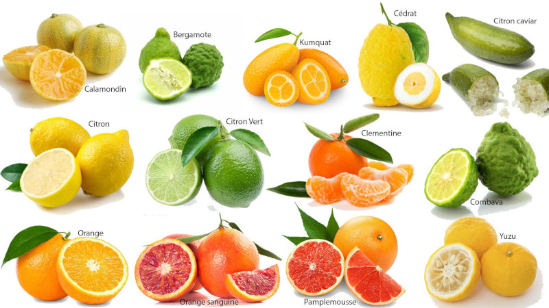 kumquats bienfaits agrumes benefiques pleins de vitamines