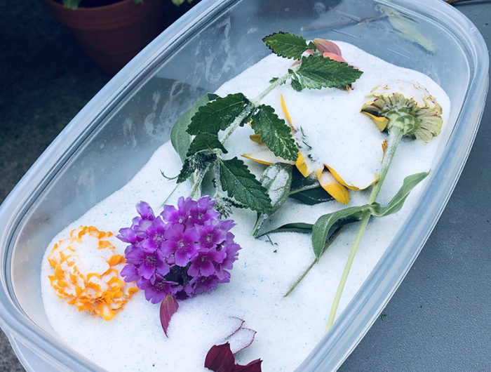 mini bouquet fleurs séchées dans un récipient de gel de silice