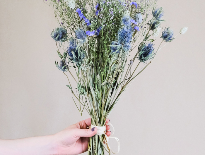 pampa sechee un bouquet bleu de fleurs sechees