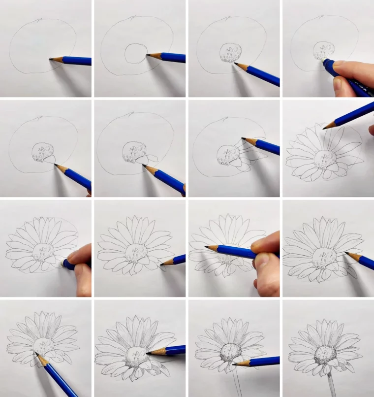 tutoriel fleur dessin crayon formes cercles ovales lignes courbes