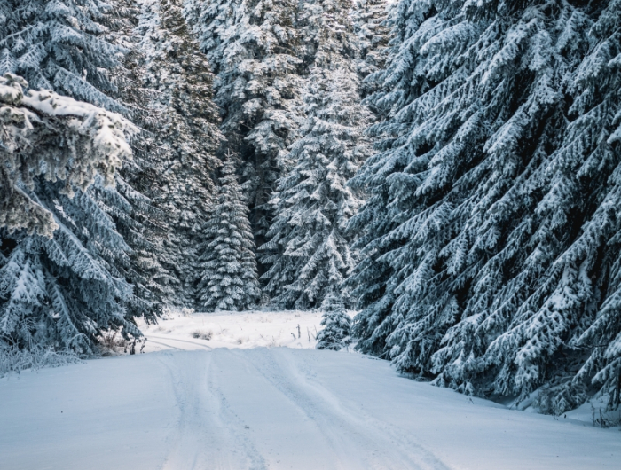 voyage suisse destination hiver montagne jura voiture