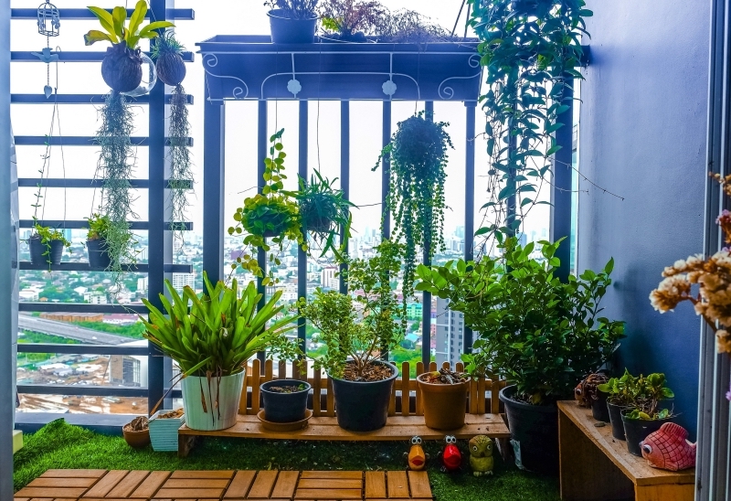 brise vue vegetal terrarium plantes suspension deco balcon