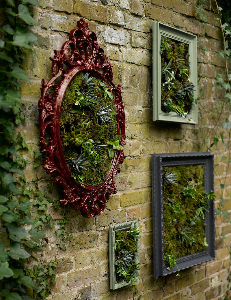 comment cacher un mur exterieur moche avec des cadres habillés de succulents sur mur de briques