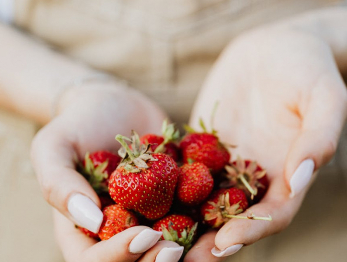 comment conserver des fraises fraichement cueillies astuces