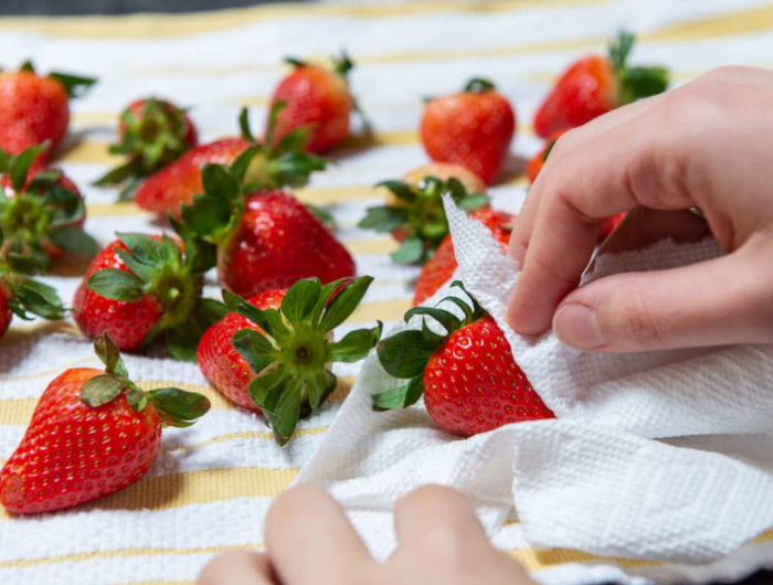 comment conserver des fraises lavees et sechees