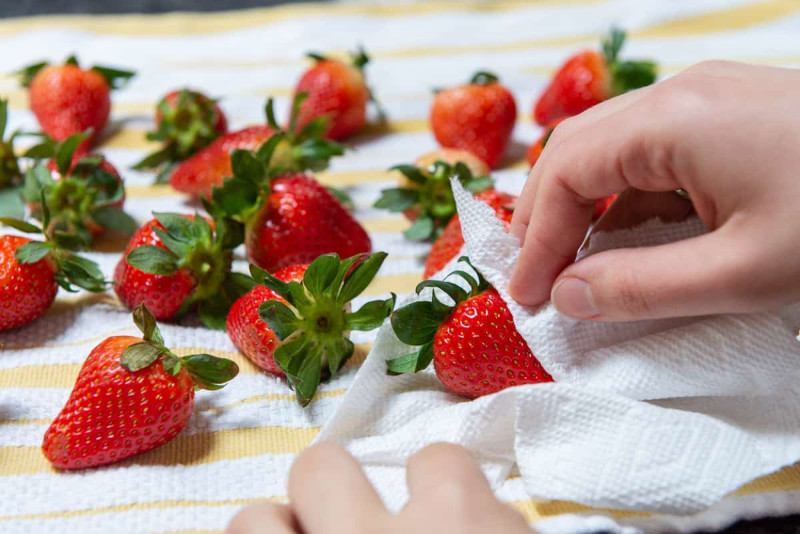 comment conserver des fraises lavees et sechees