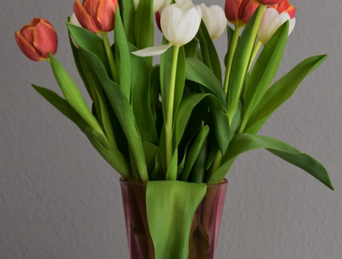 comment conserver un bouquet de fleurs un bouquet de tulipes dans un vase