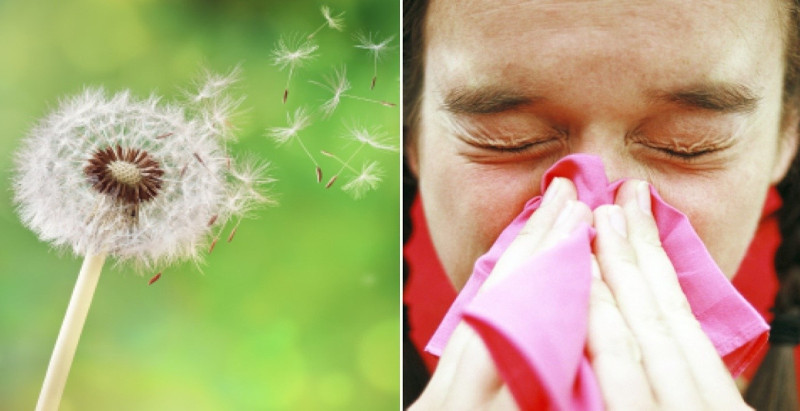 comment reconnaitre une allergie au pollen symptomes courants