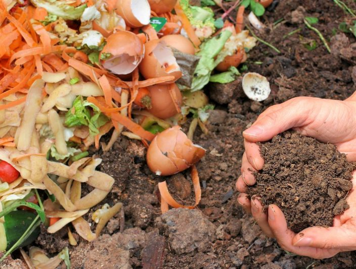 compost with composted earth