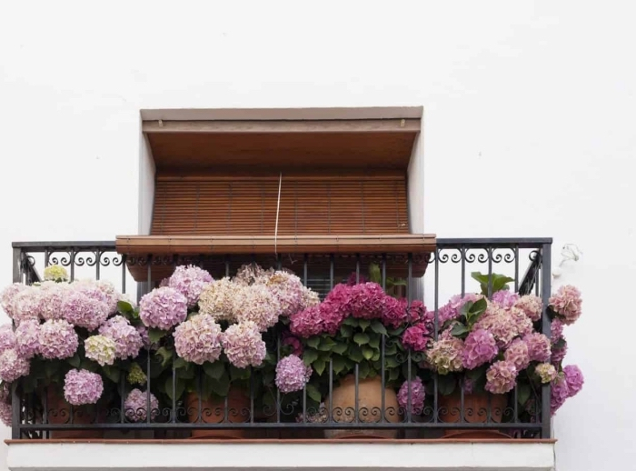 deco balcon stores bambou idee brise vue vegetal fleurs