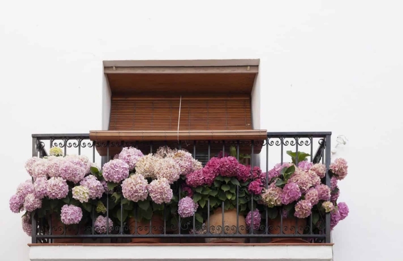 deco balcon stores bambou idee brise vue vegetal fleurs