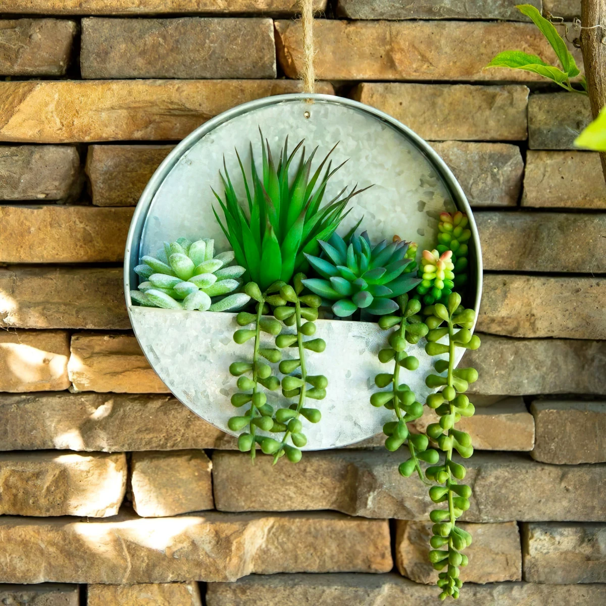 deco mur exterieur avec succulents verts