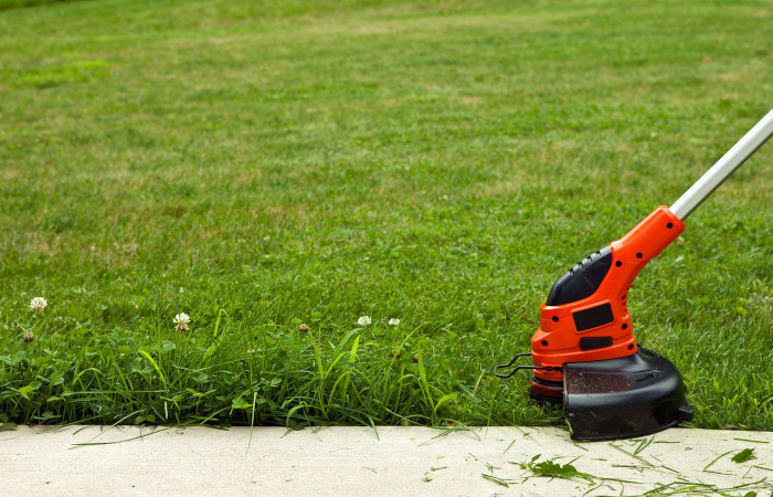 entretien pelouse la tonte reguliere aide a la pelouse