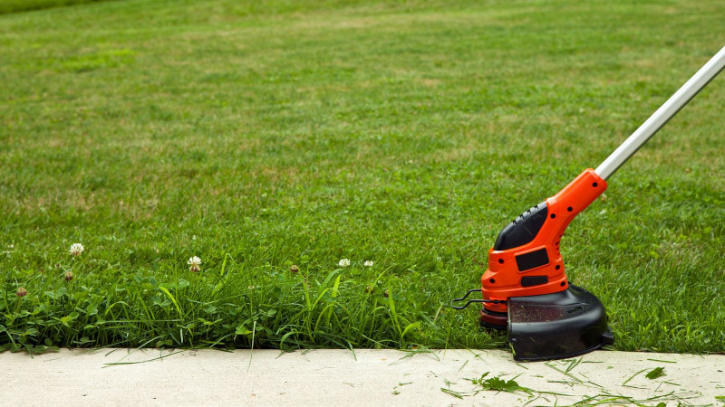 entretien pelouse la tonte reguliere aide a la pelouse