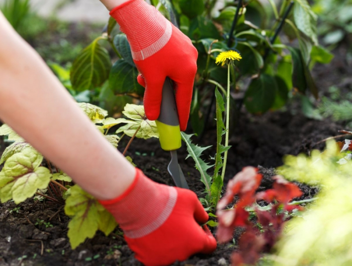 gants de jardin comment enlever les mauvaises herbes jardinage