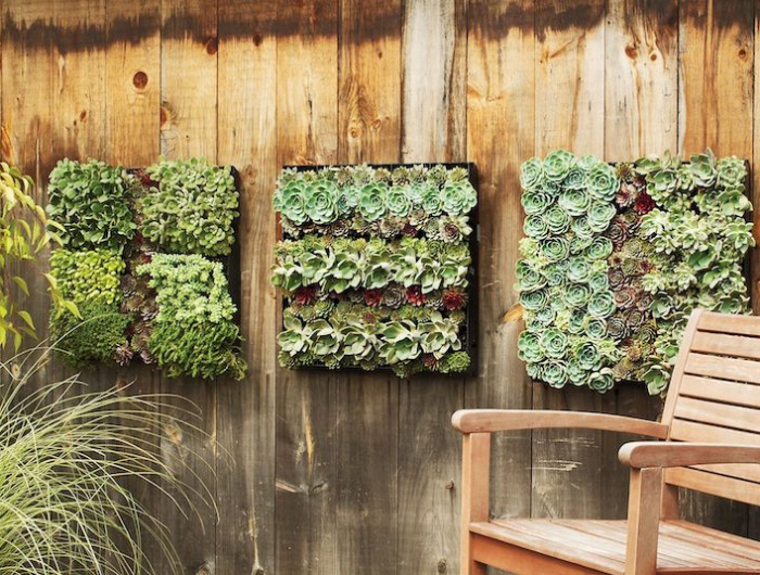 habillage mur exterieur bois avec panneau vegetal de succulentes