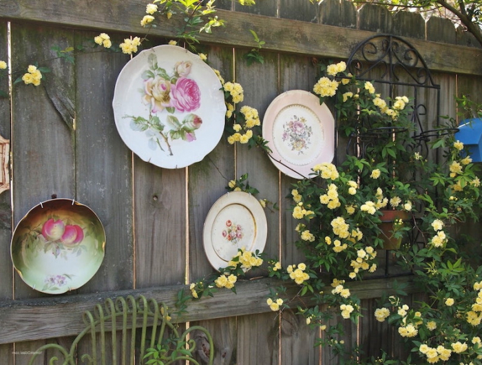 idee de decoration jardin exterieur mur de bois abimé habillée de vaisselle vintage et plante grimpante