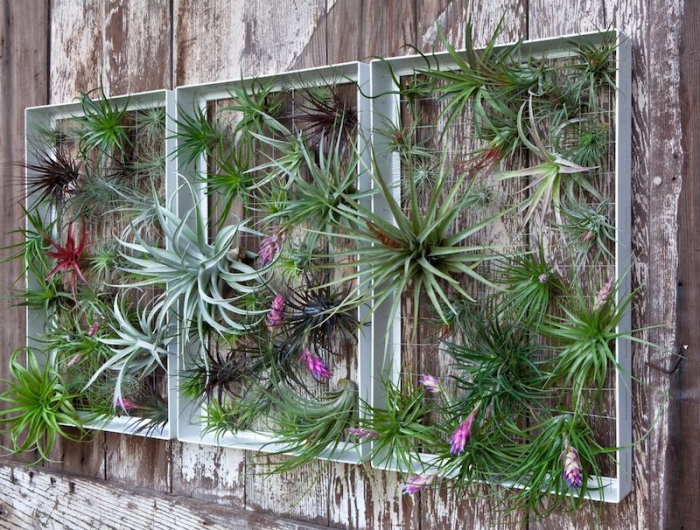 idee deco cadre vegetal comment cachet un mur exterieur moche de plantes