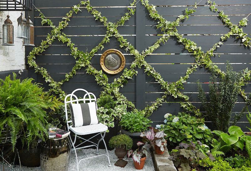 idees pour decorer un mur exterieur de plantes rampantes chaise blanche metallique plusieurs pots de fleurs chaise blanche