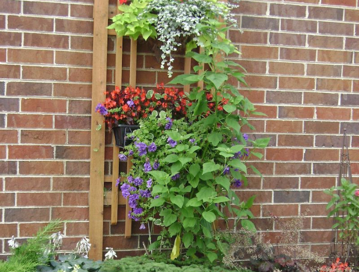jardiniere exterieur mur vegetal sur mur de briques avec des plantes