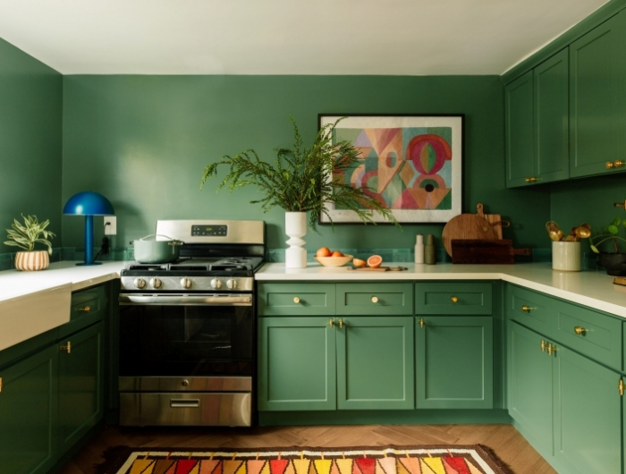 plantes vertes d interieur couleur peinture cuisine 2022