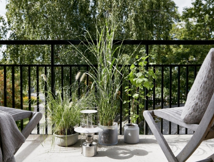 que mettre dans des grands pots sur une terrasse