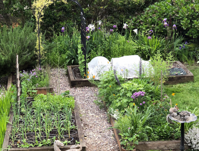 que peut on planter en avril dans le jardin legumes precoces