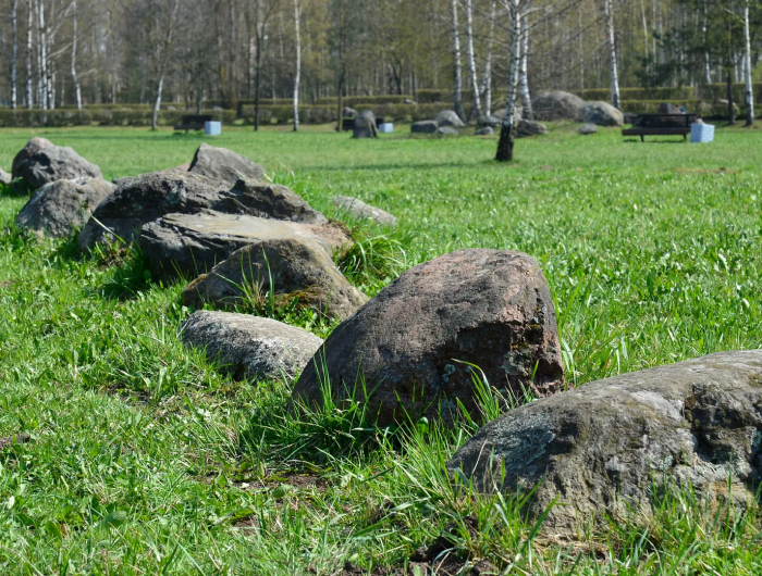 comment décorer un jardin avec des pierres rochs en dispers en jardin