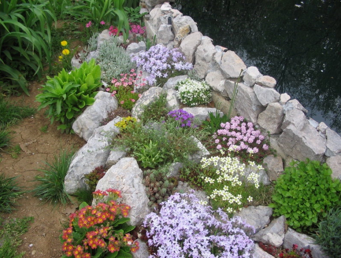 la rocaille jardin mediterraneen jouit au soleil