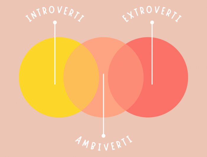 ambivert def difference entre exrtraverti et introverti type personnalité