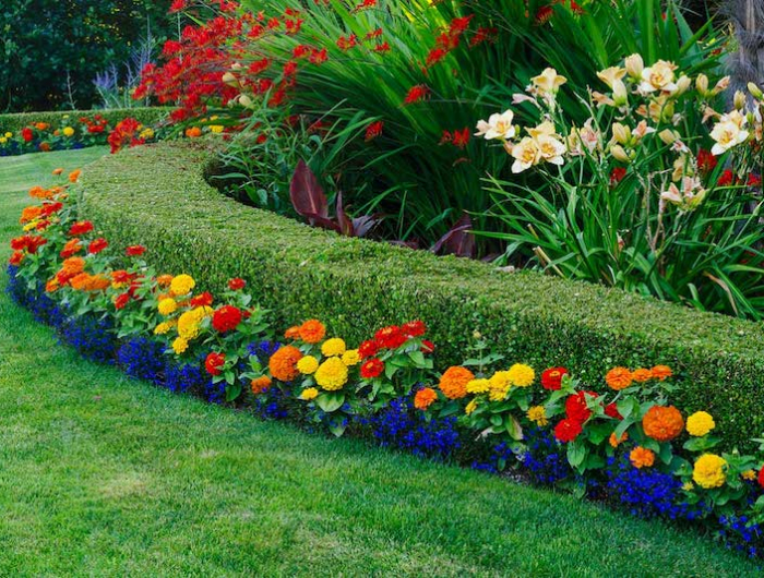 bordures de jardin originales idée de bordure fleurie de plantes fleurs