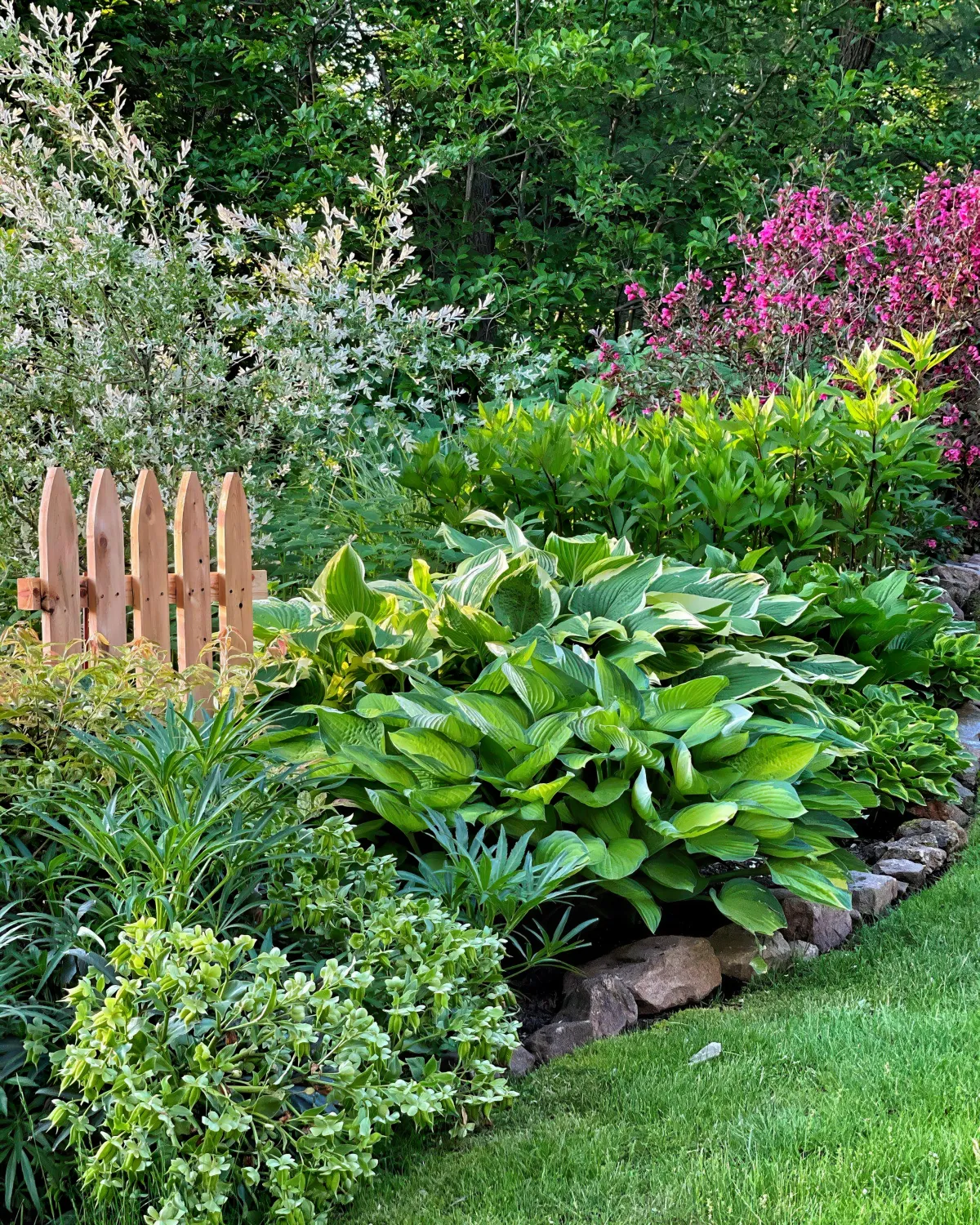 comment bien entretenir les plantes vertes du jardin