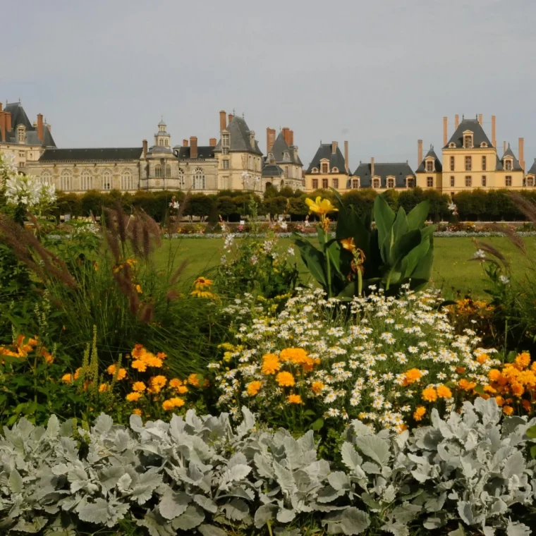 exemple de rocaille fleurs jaunes plantes vertes devant un chateau