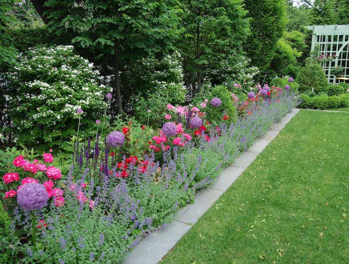 faire une bordure de jardin fleuri de lavande et autres fleurs de jardin