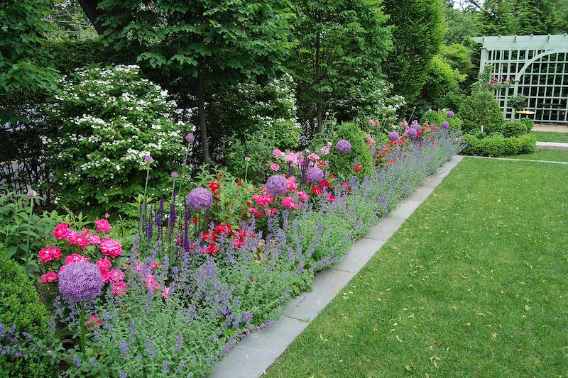 faire une bordure de jardin fleuri de lavande et autres fleurs de jardin