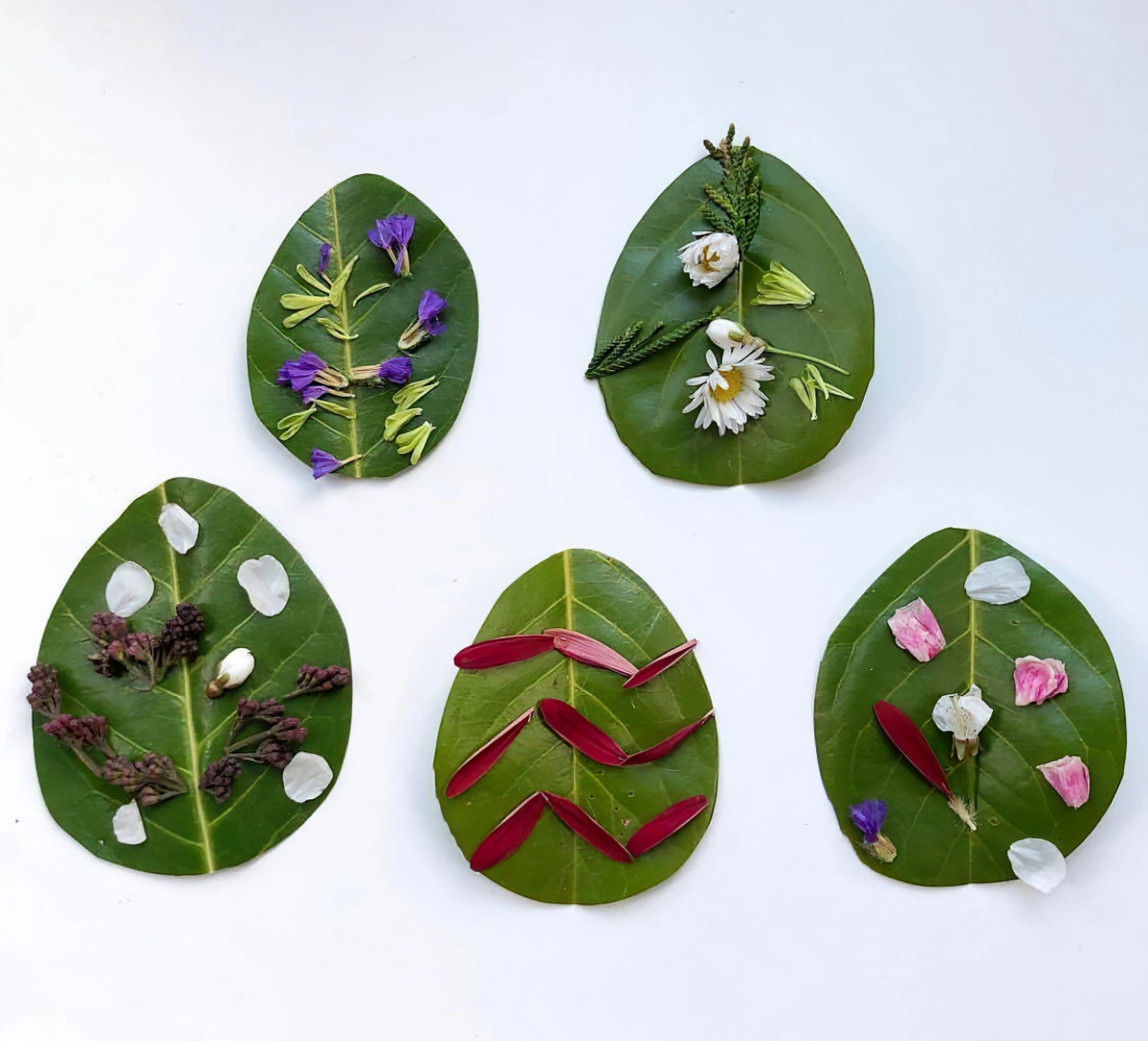 feuilles vertes fleurs nature bricolage paques materiaux petales