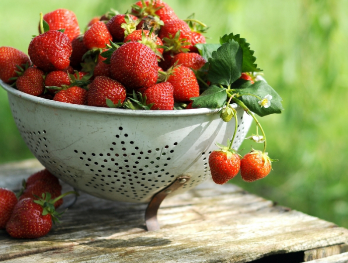 frequence quand arroser fraises en pot recolte fruits