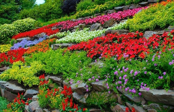 grosse pierre deco jardin pente de pierres et de fleurs