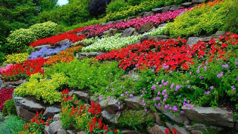 grosse pierre deco jardin pente de pierres et de fleurs