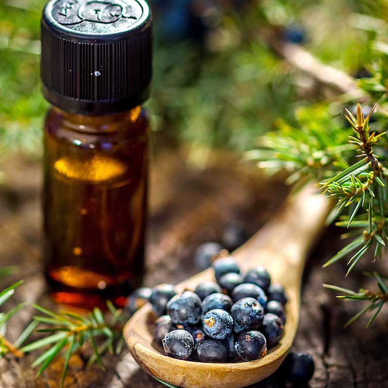 juniper berries and essential oil