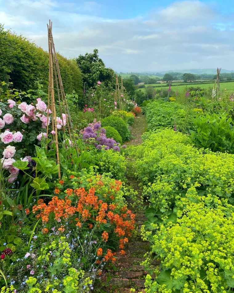 idee de parterre de fleurs sans entretien jardin pelouse verte