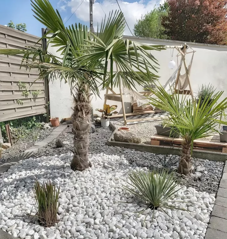 jardin avec des palmiers comment les entretenir en ete