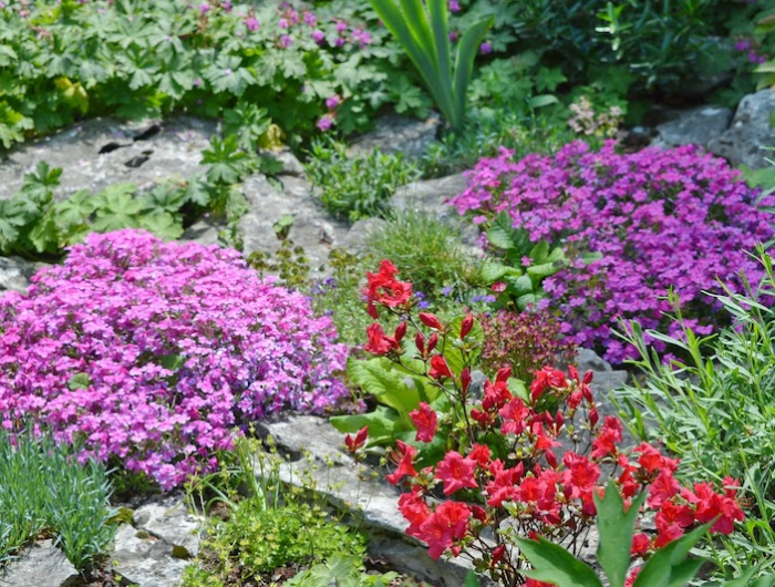 ou ramasser grosses pierre deco jardin pierres et fleurs dans une foret