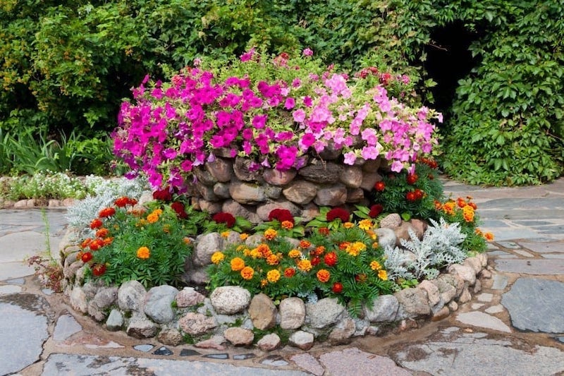 ou ramasser grosses pierre deco jardin plate bande de fleurs entouree de pierres