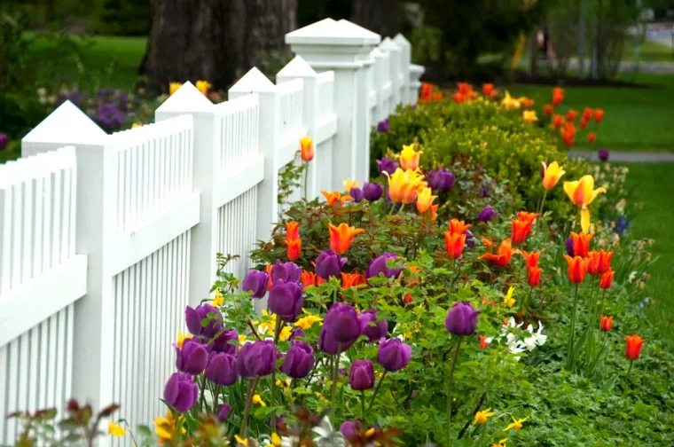 par terre de fleurs annuelles sans beaucoup d entretien mur blanc